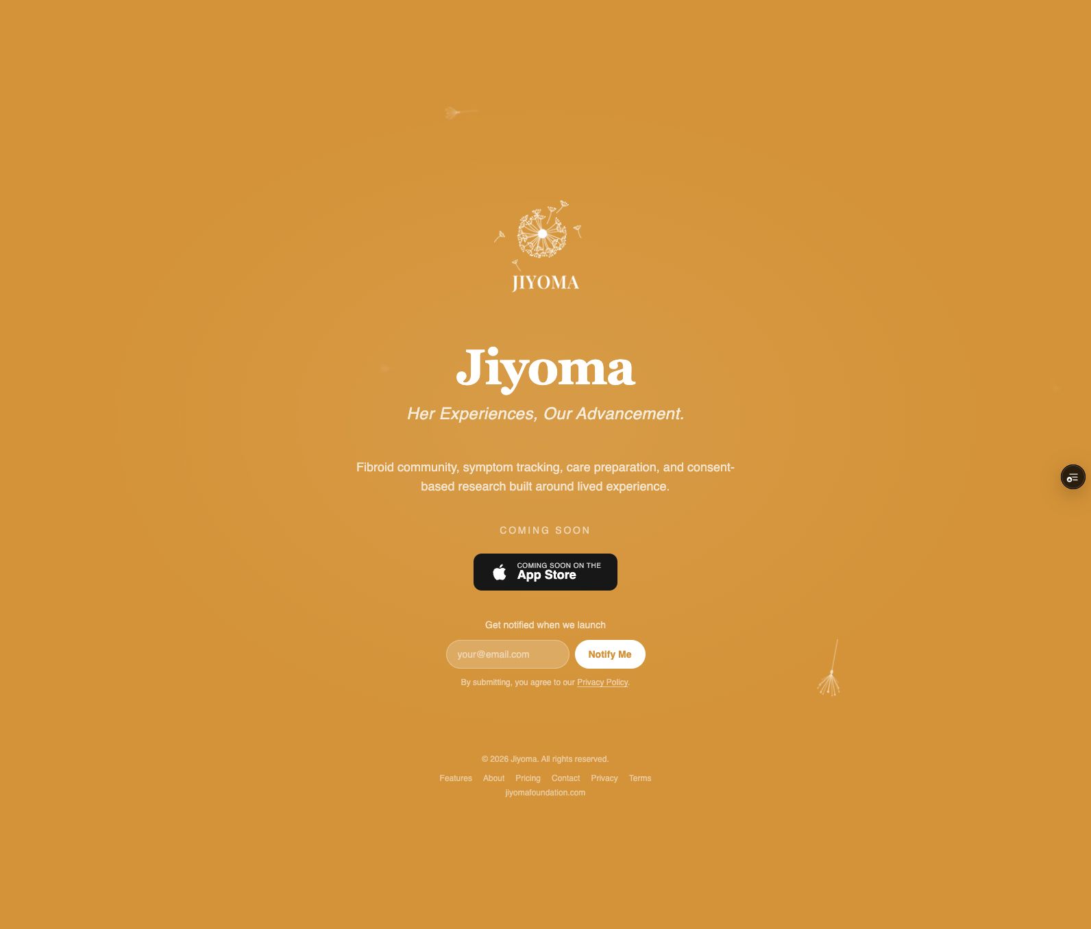Jiyoma public website preview